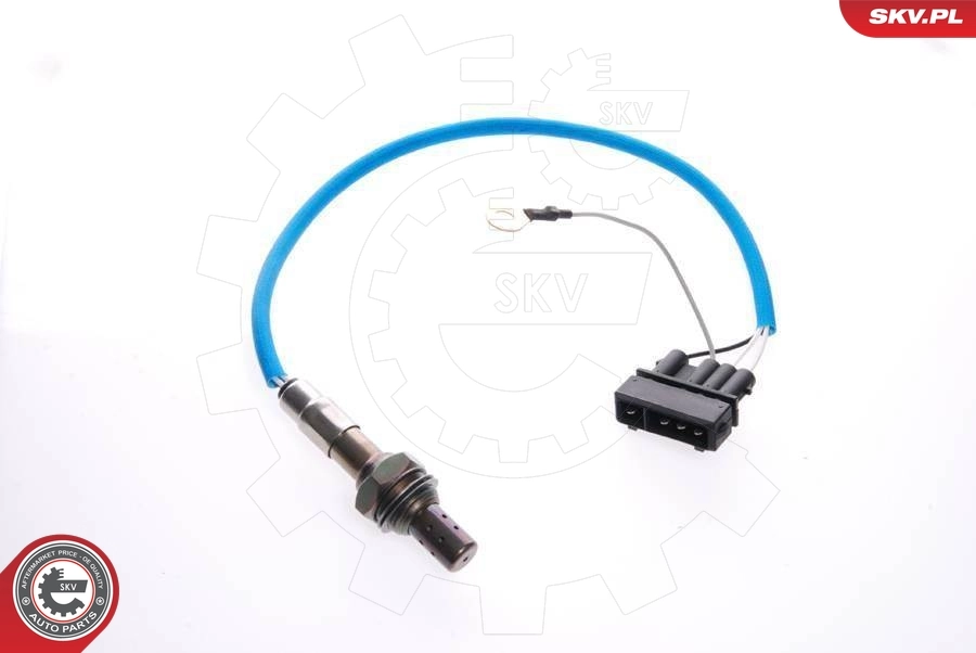Oxygen Sensor
